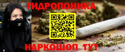 spice Кунгур